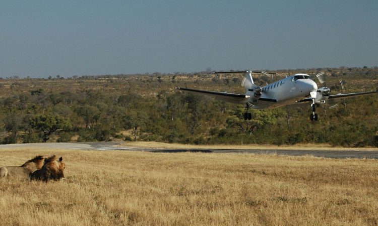 Serengeti and Zanzibar on a 4 day safari and beach trip