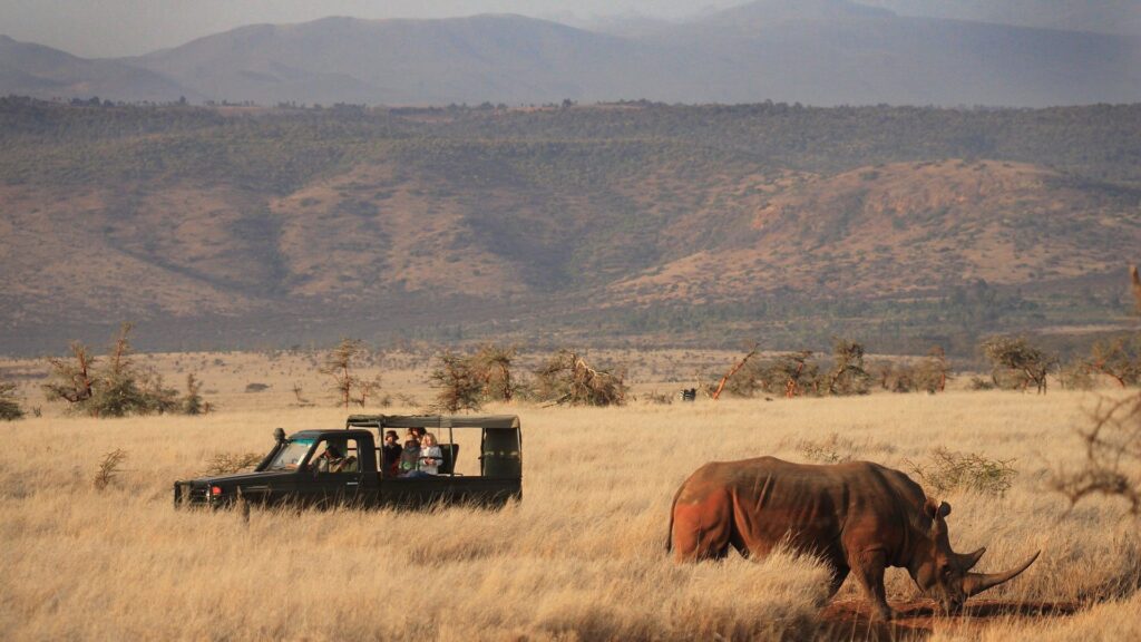 Lewa wildlife conservancy