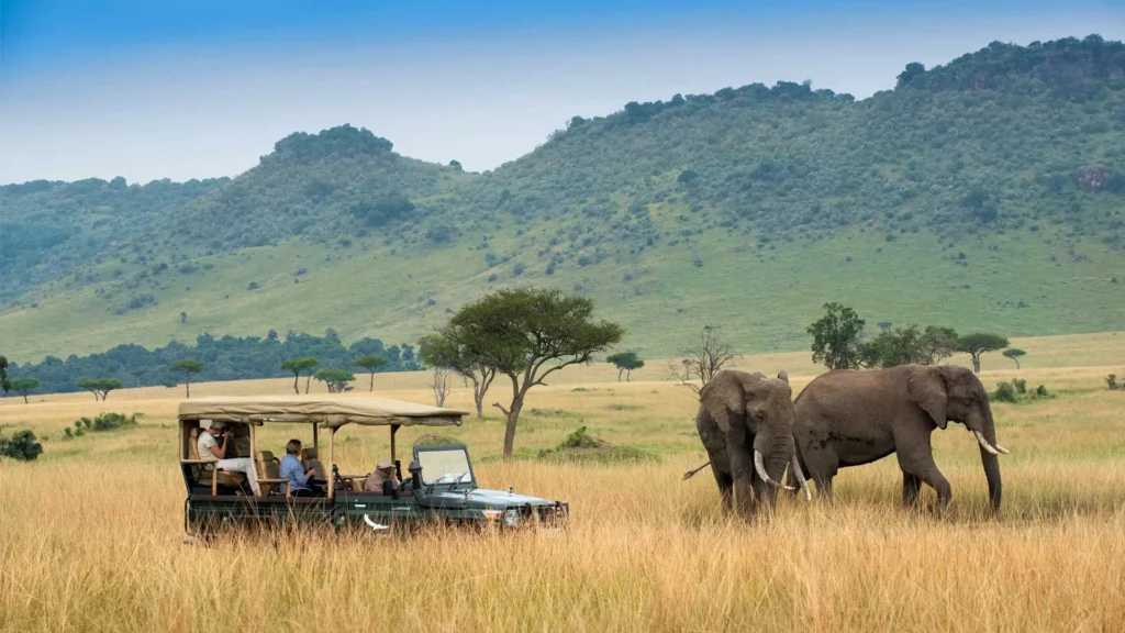 tourist vehicle near elephants in maasai mara national reserve