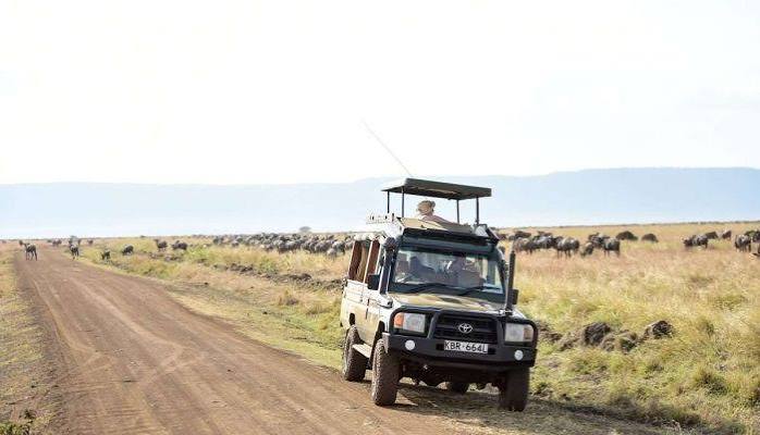 Grey Impala safari vehicle on a track through Kenyan savannah