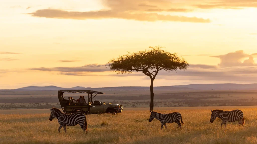 Best time to visit Kenya for a safari