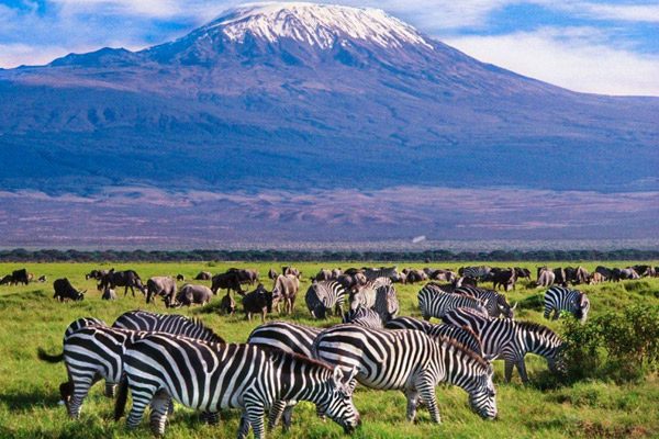 Mount Kilimanjaro National Park