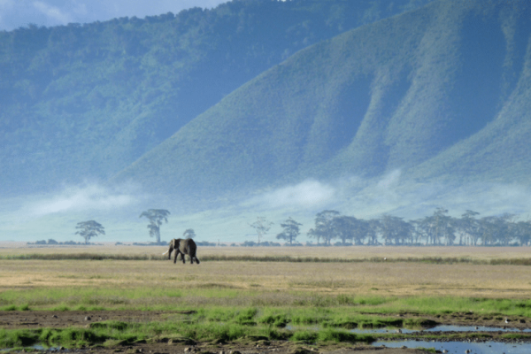 Ngorongoro-conservation-area