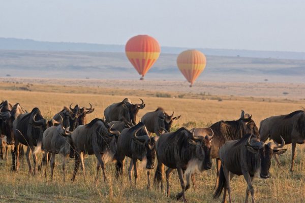 Serengeti-Balloon-Safari